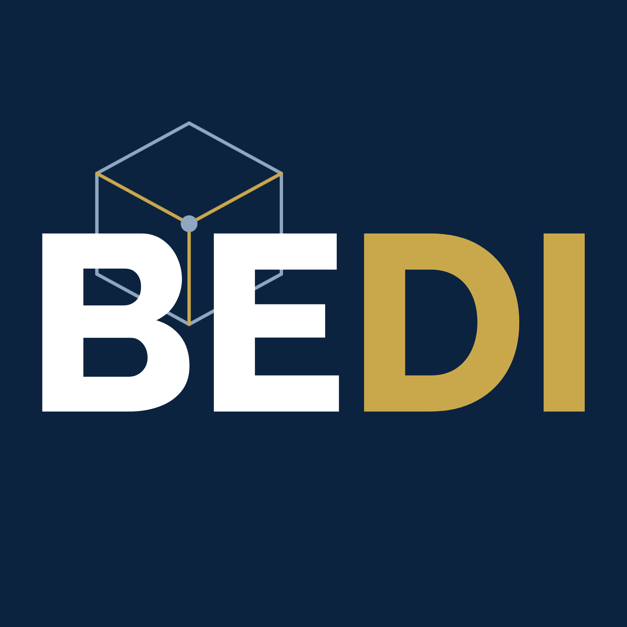 BEDI — Bejarano Digital S.A.S.